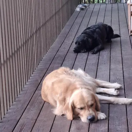 Geresnationalpark-cabin-6bed-balcony-pool-views Vakantiehuis