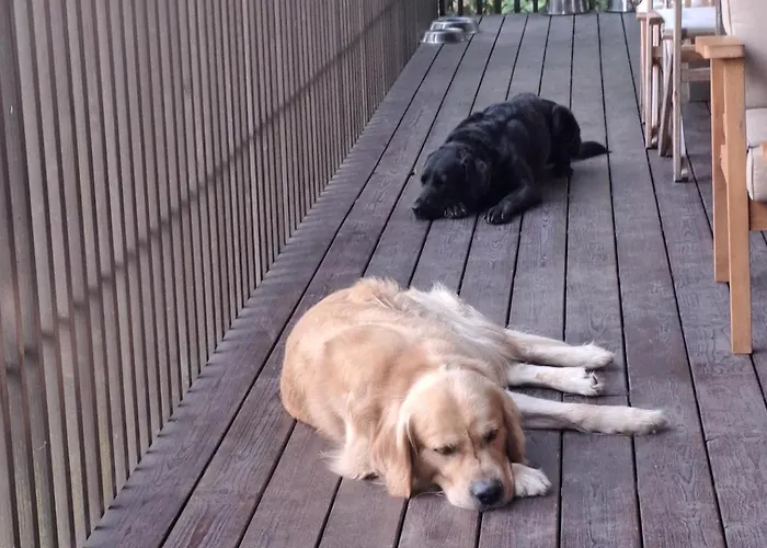 Geresnationalpark-cabin-6bed-balcony-pool-views Prázdninový dům